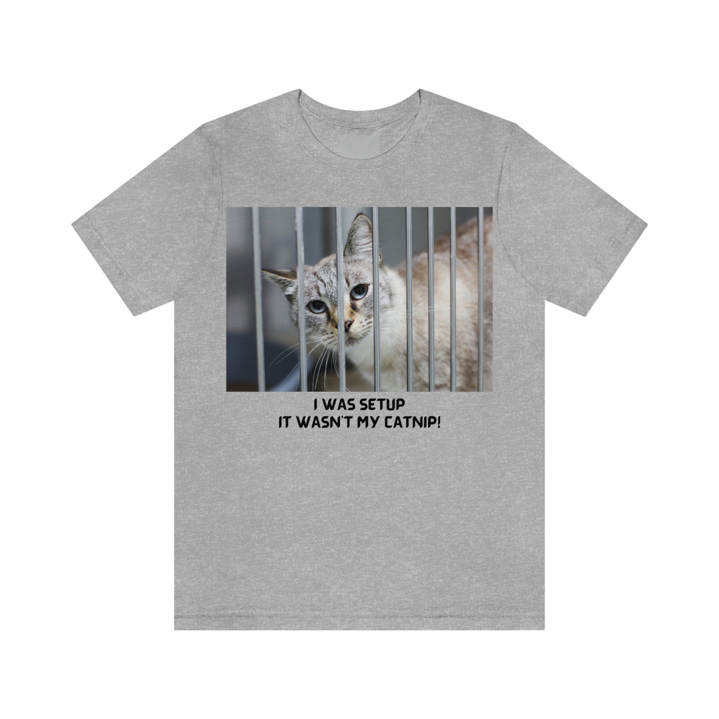 It Wasn't My Catnip t-shirt, Cat lover gift, gift for pet lover, gift for animal lover, catnip