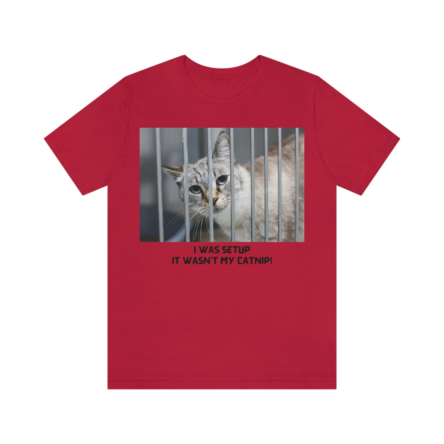 It Wasn't My Catnip t-shirt, Cat lover gift, gift for pet lover, gift for animal lover, catnip