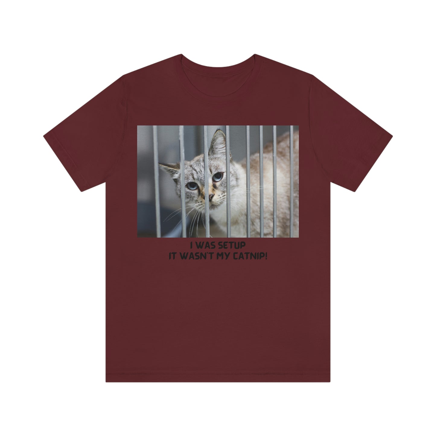 It Wasn't My Catnip t-shirt, Cat lover gift, gift for pet lover, gift for animal lover, catnip