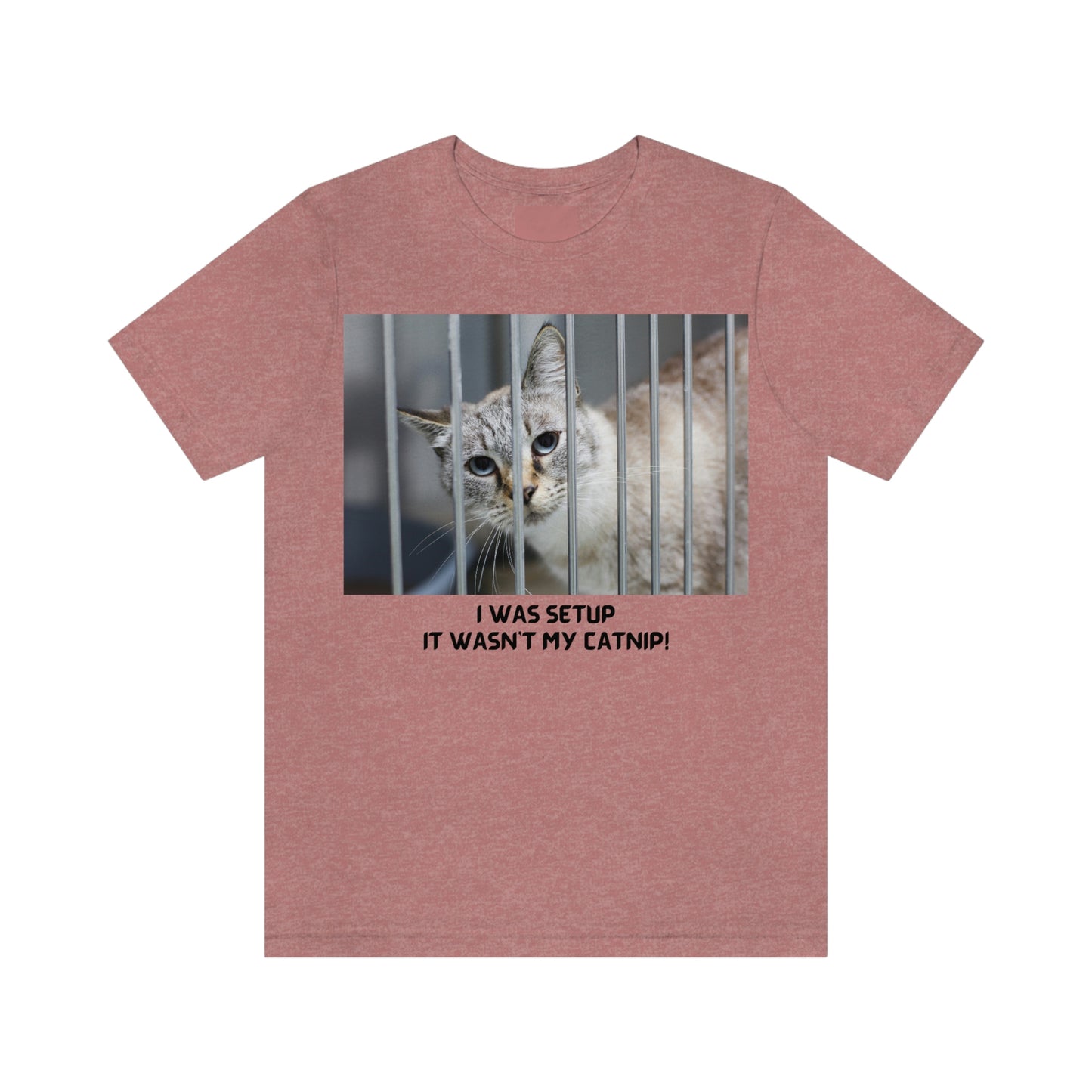 It Wasn't My Catnip t-shirt, Cat lover gift, gift for pet lover, gift for animal lover, catnip